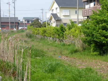 画像25
